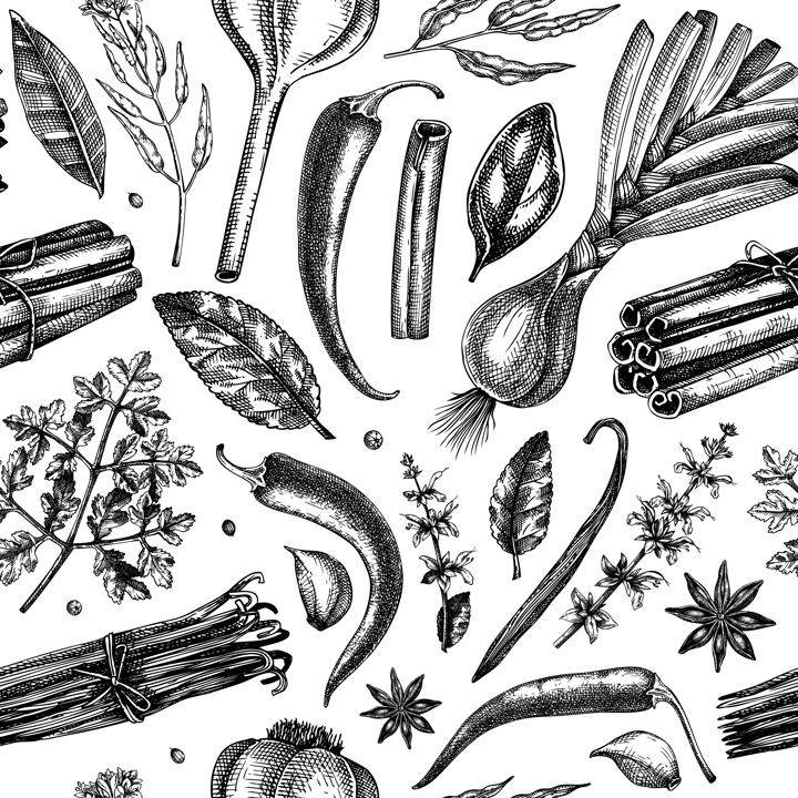 Hand-drawn herbs and spices sketches background. Hand-sketched food backdrop in color. Vintage aromatic plants seamless pattern in sketched style. Kitchen spice and herbs  fabric design